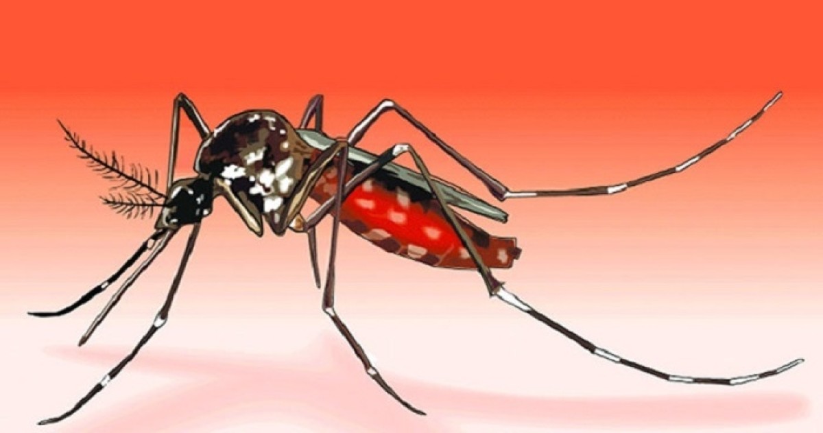 বাড়ছে ডেঙ্গু, সর্তক হওয়ার পরামর্শ স্বাস্থ্যমন্ত্রীর