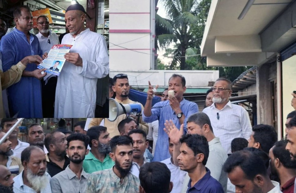 ভোলায় মণ্ডপ পরিদর্শনে বিএনপি নেতা হায়দার আলী লেলিন